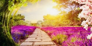 【海外诗译】精品双语朗诵《人间最美三四五月》作者|王文、英译|中权、审译&朗诵|薇薇(图3)