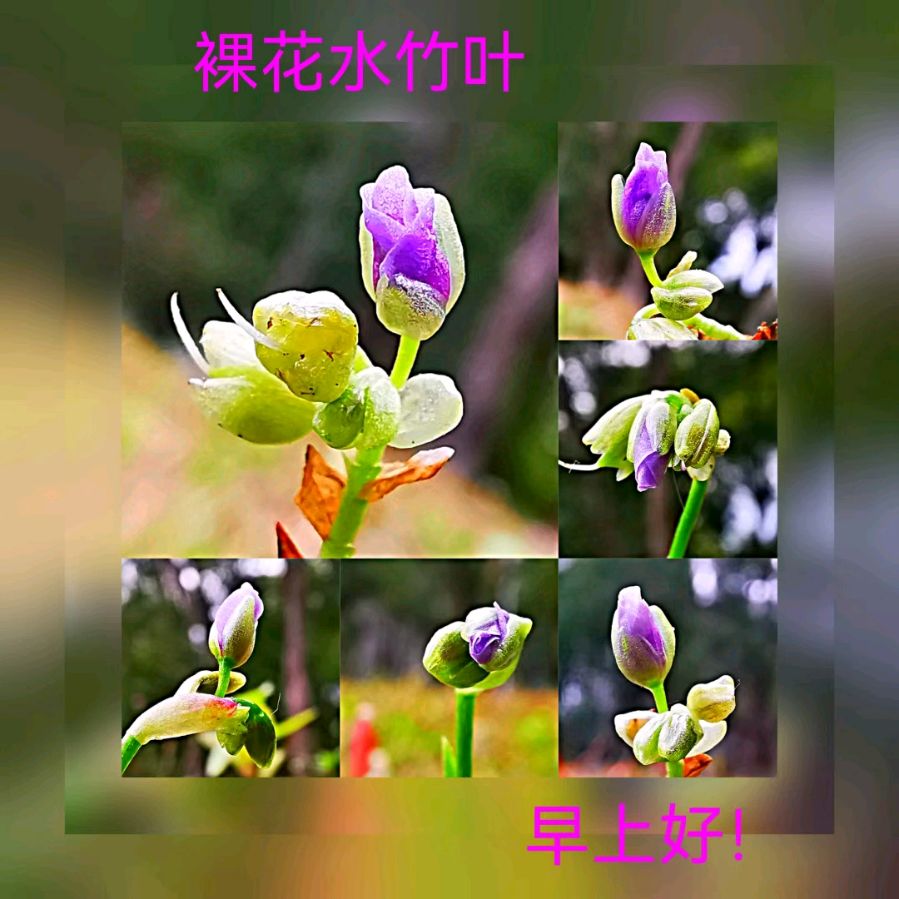 联机全球发布马洪武作品欣赏（图107）