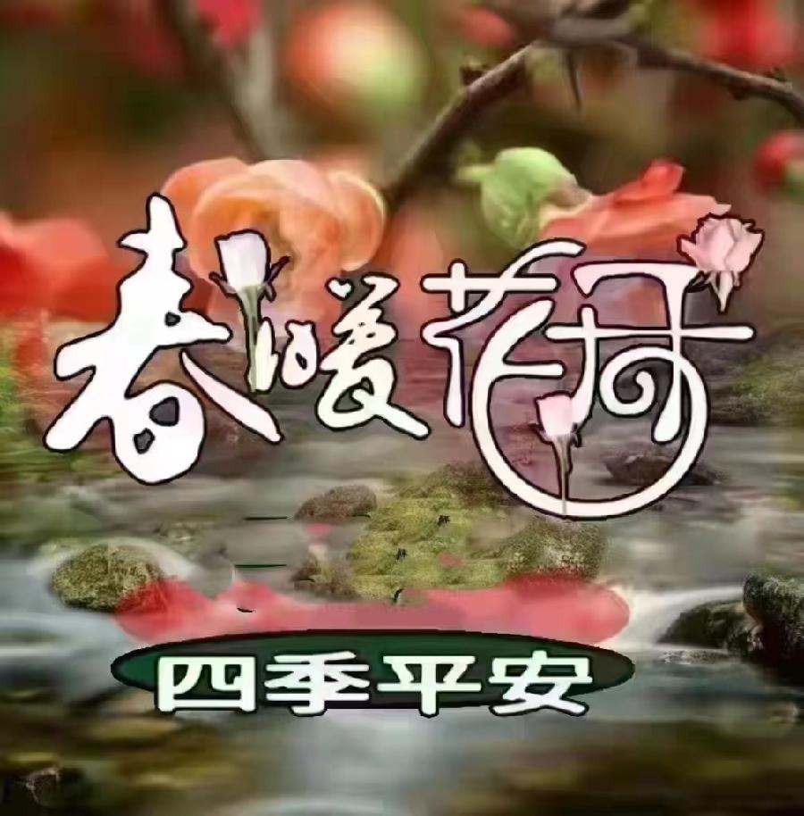 【都市头条向幸福出发编辑部】第11142期 不老松 100