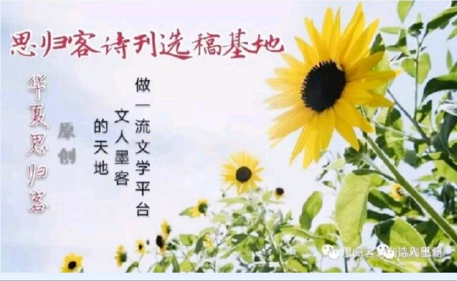 喜报!快来看……思归客系列丛书《思归客文苑》全部快递完毕,没有收到的朋友们赶快私聊我。《华夏诗词》不日将与读者见面,请朋友们和我一起拭目以待。《炎黄诗歌》火热征稿中,同时征集封面封底人物,请朋友们踊跃投稿支持思归客……(图7)