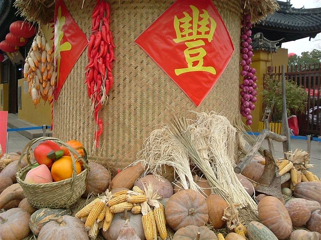 《小草也芳香》作者:田歌。配乐:诗配《画面音乐》。[中国现代诗歌文化传媒]（图8）
