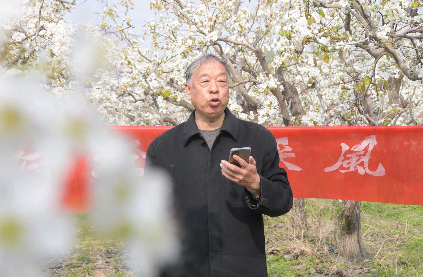 特刊：中华诗经阁采风团走进东方古梨园（图4）