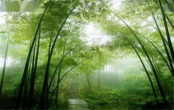 【明心文学】心灵活水/七律三首 主播/薇薇（图4）