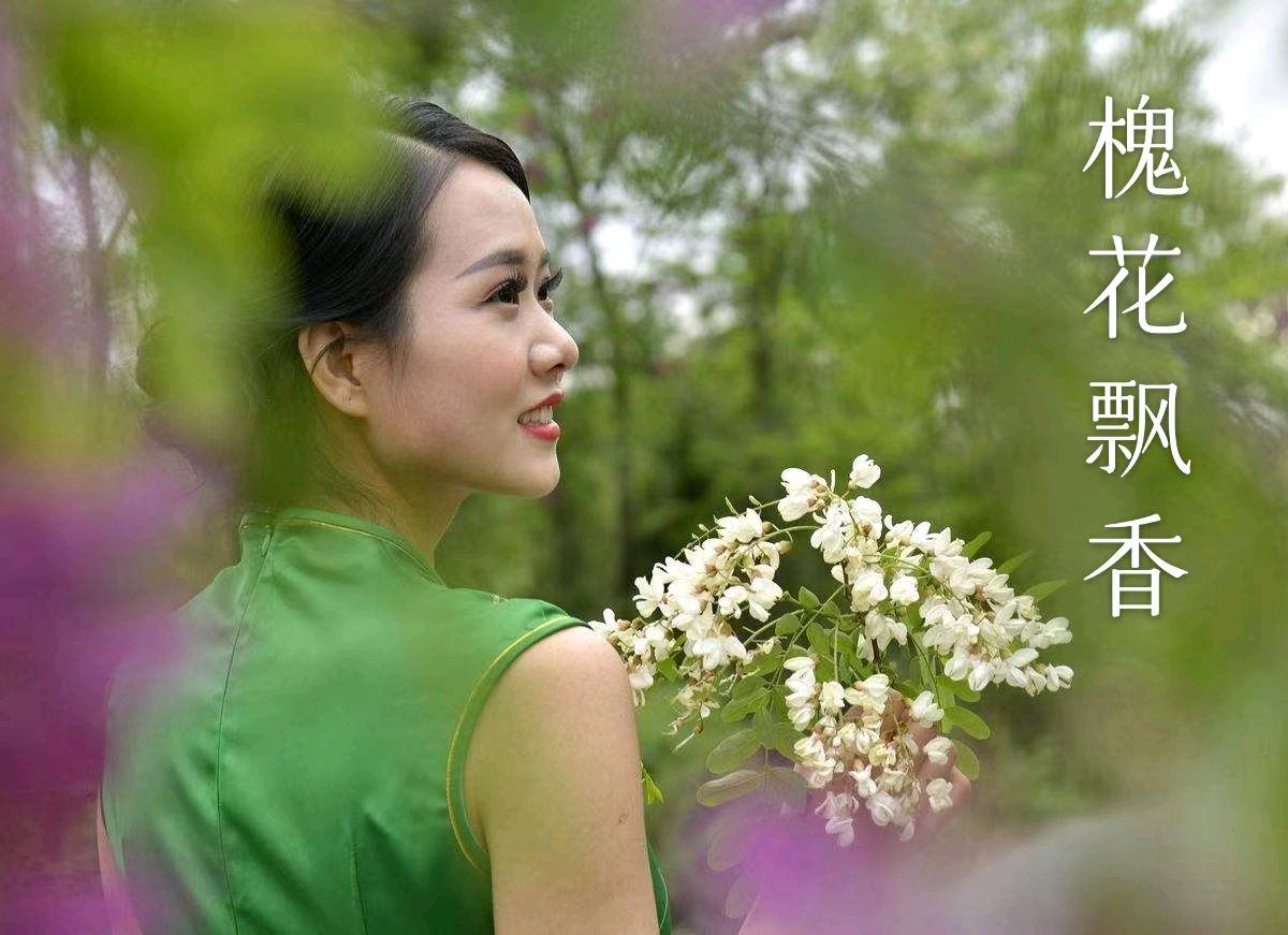 韩庚的《槐花飘香》