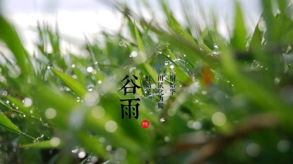 谷雨时节 作者/田歌（图3）
