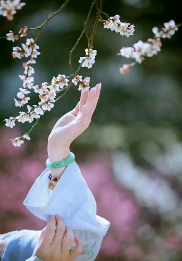 看图写诗(盼)诗人:冰心〔甘肃〕 鉴赏 胡向前〔湖北〕【冰心专栏】(图14)