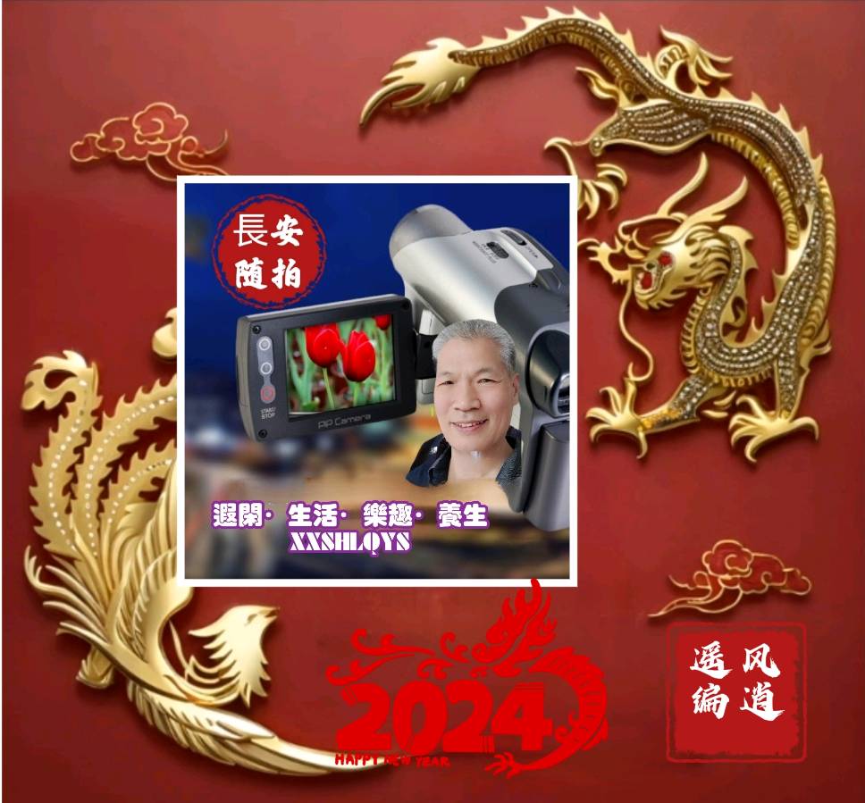 🎥【🌺学友春聚】（第20集）（图5）