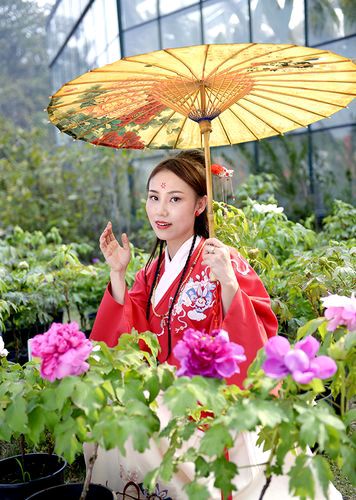 【新山东文学社】《等你，牡丹花开》作者/大浪淘沙 主播/雨花石（图4）