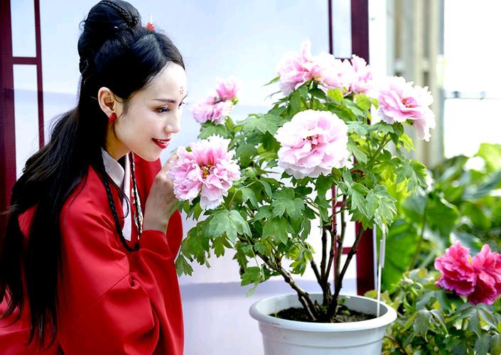【新山东文学社】《等你，牡丹花开》作者/大浪淘沙 主播/雨花石（图3）