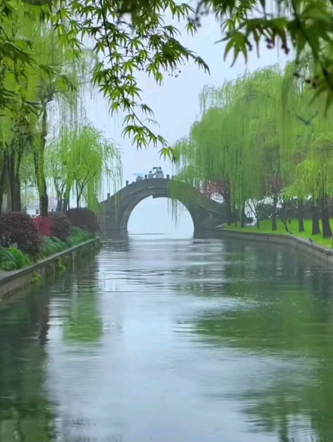 【荣耀中国】春 柳作者/吕述尧（江苏）（图2）