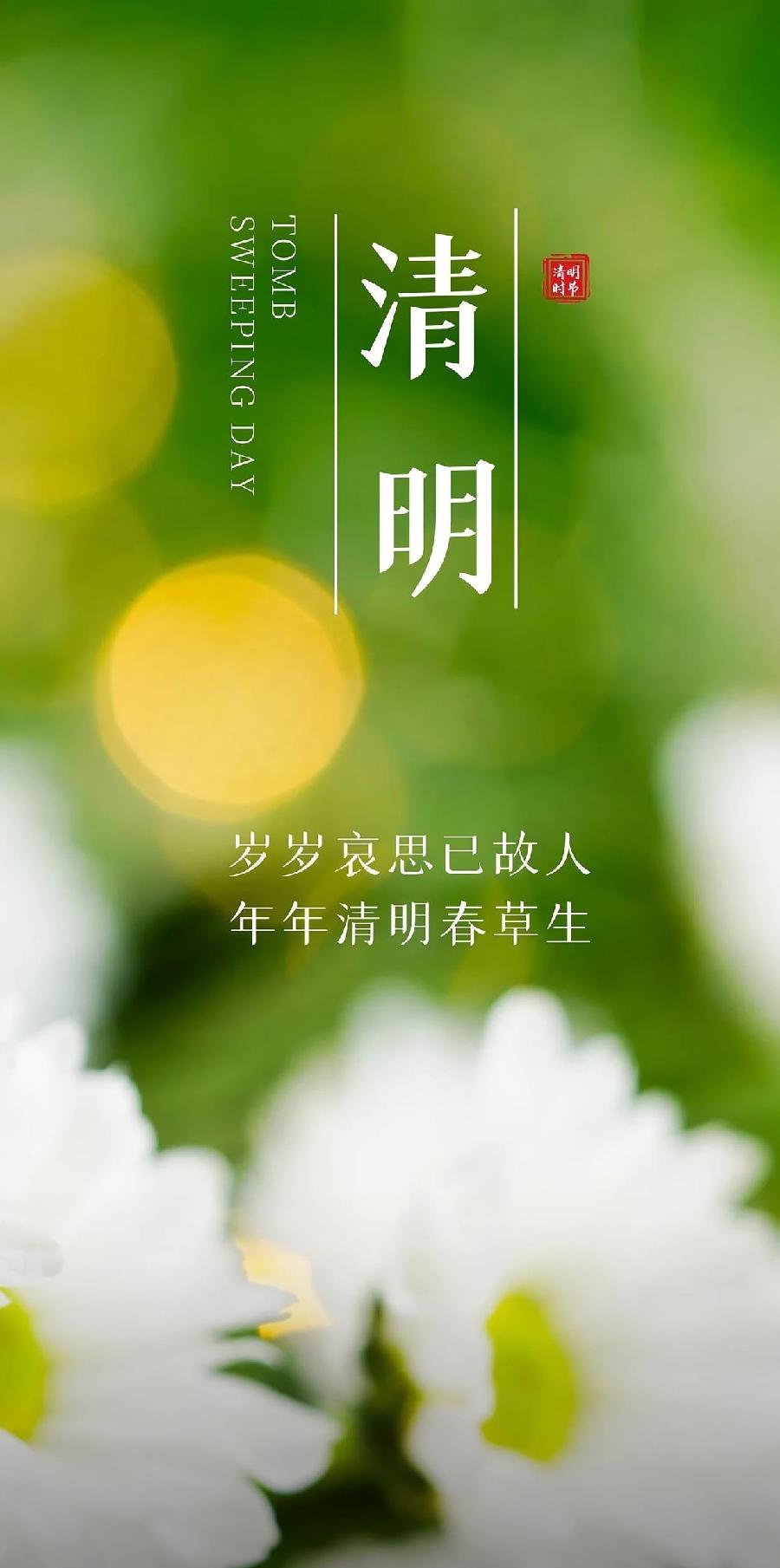 鲁文彦清明节诗词(图8)