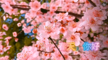 春天畅想（原创） 文/曹静实（陕西）（图3）