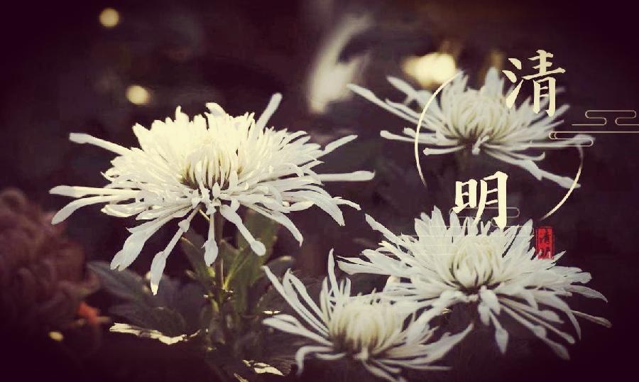 鲁文彦清明节诗词(图20)