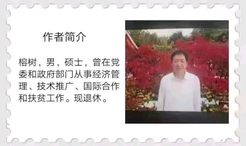 丰碑 一一 深切怀 念王艳红同志 作者:榕树 主播:蝴蝶兰（图4）