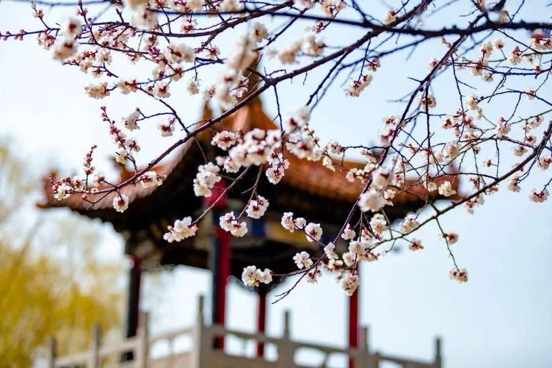 【仙吕. 一半儿】春（通韵）北欧总社【世界诗人名人展】10918期（图3）
