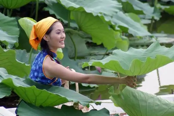 七绝-麦浪(组合)诗||白小文(图16)