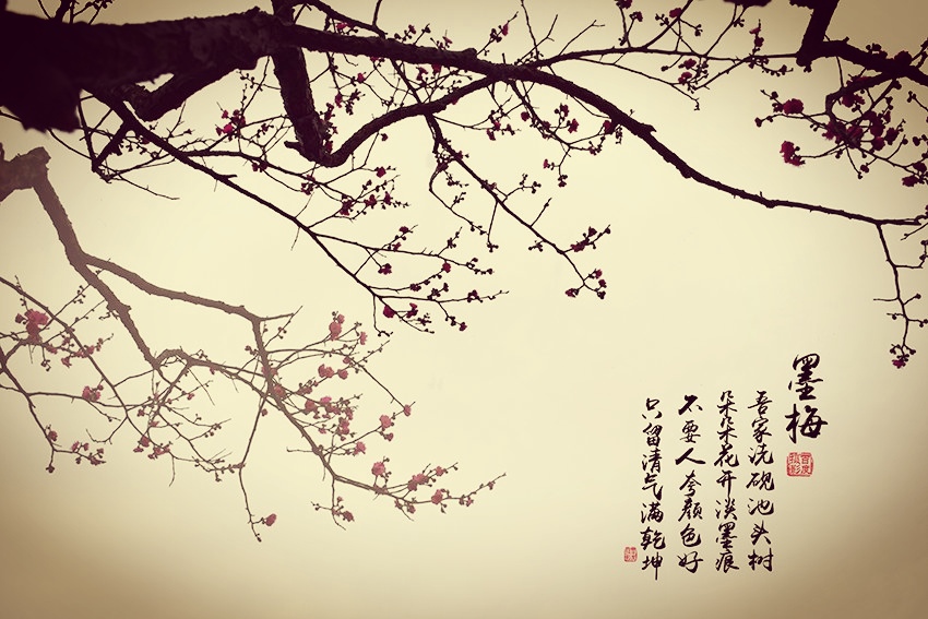 七绝-麦浪(组合)诗||白小文(图18)