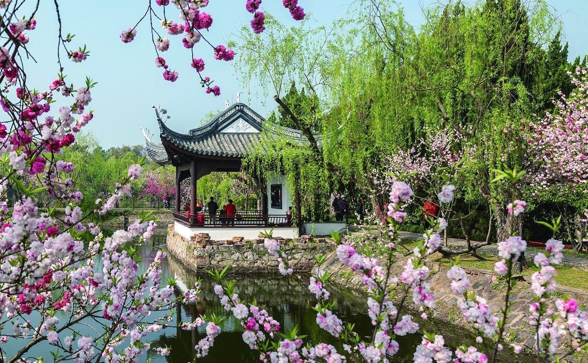 【新诗大观】活出全新的自己||文/张道发（图3）