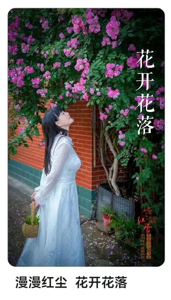 韩庚的《花开花落》