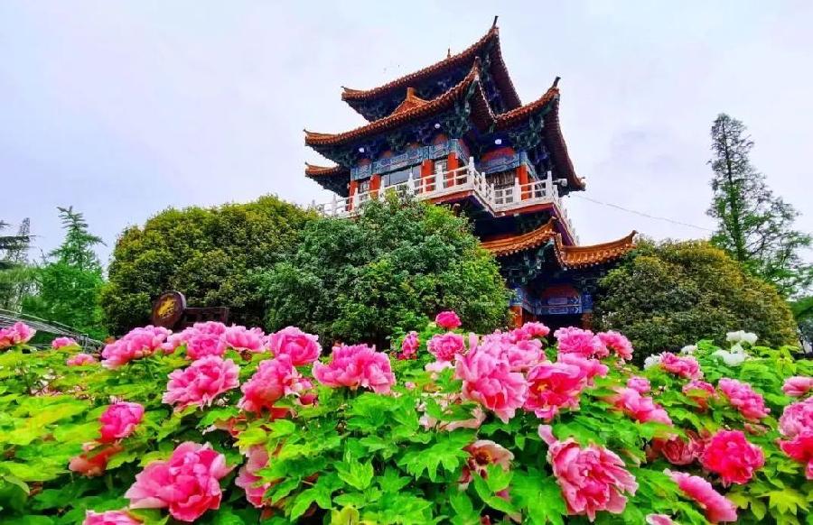 河南旅行记（七绝廿二首）文/朱福生（内蒙古赤峰）（图6）