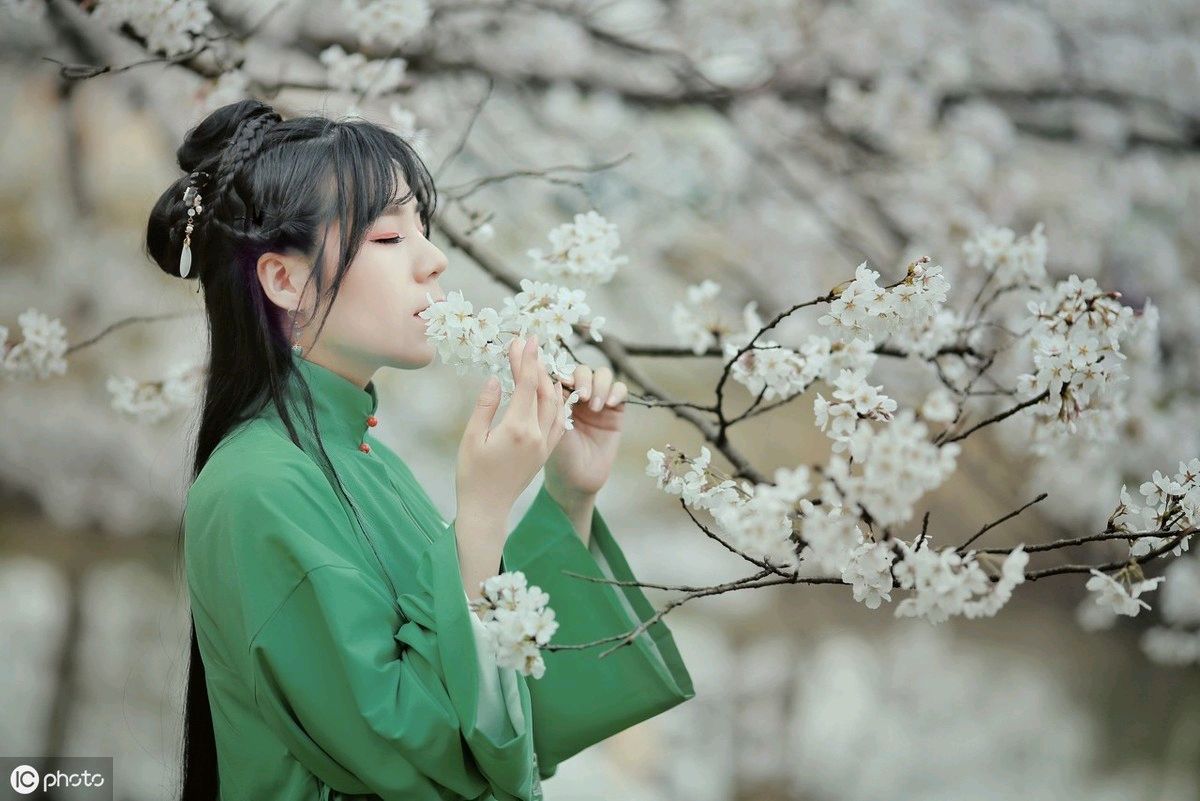 《红靥依旧》作者:吴丽跃。诵读:郭秀丽。[中国现代诗歌文化传媒]（图13）
