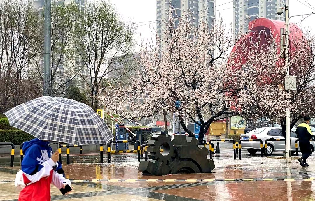《春雨》作者:郭小林。配乐:诗配《画面音乐》。[中国现代诗歌文化传媒]（图6）