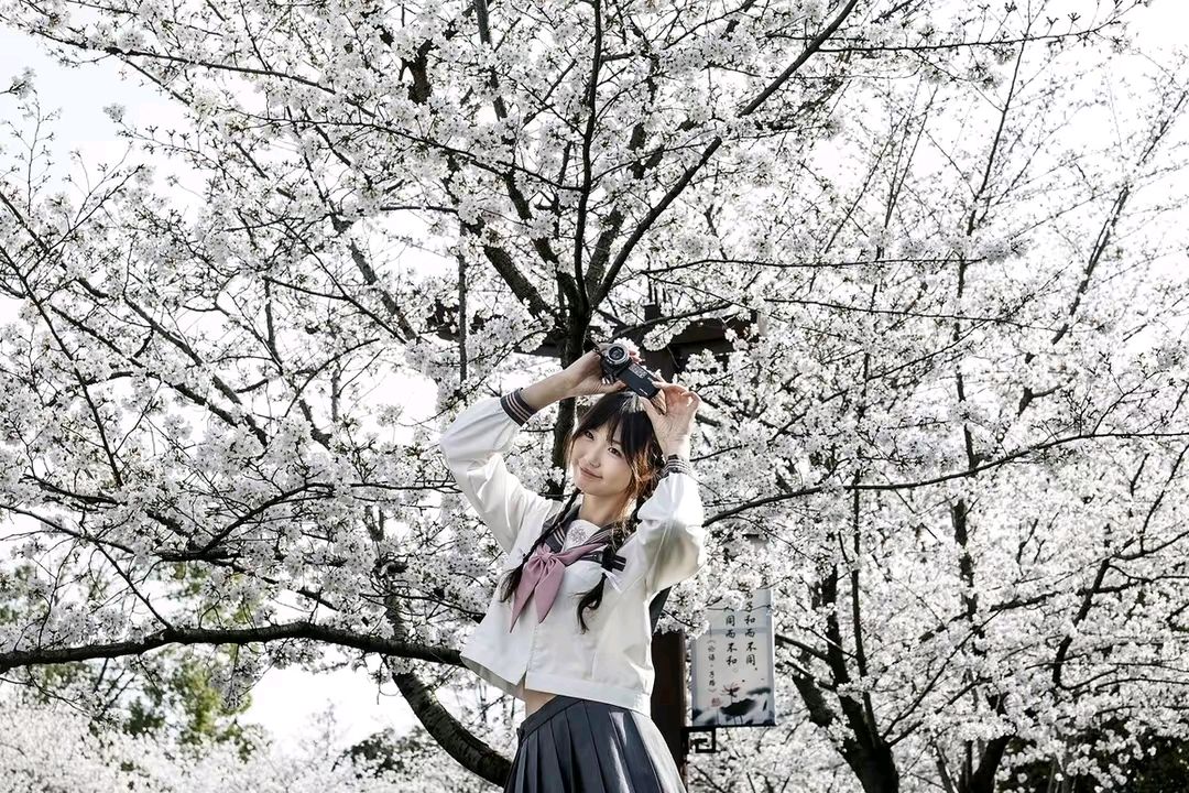 《春雨》作者:郭小林。配乐:诗配《画面音乐》。[中国现代诗歌文化传媒]（图8）