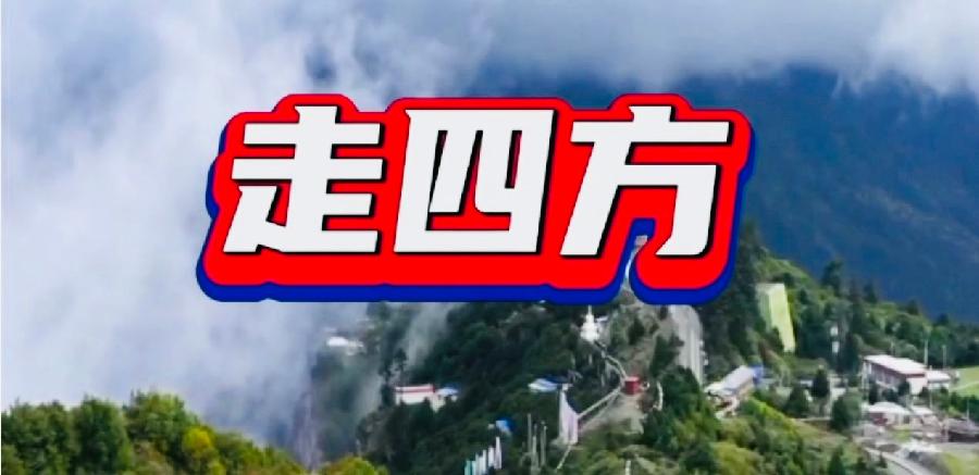 【海外诗译】精品双语朗诵《信天游·走四方》(外一首)作者|王文、英译|中权、审译&朗诵|薇薇(图4)