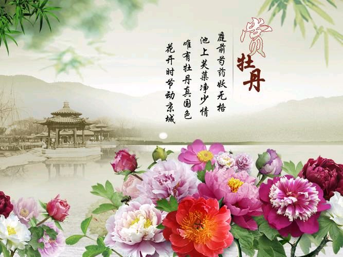 【经典推荐】杨武军//牡丹花（图3）