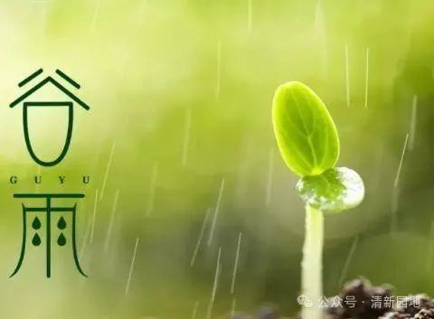 捣练子*谷雨 金夜（兰州）（图3）