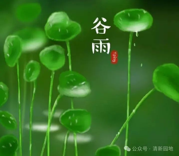 张满海《谷雨》（图3）