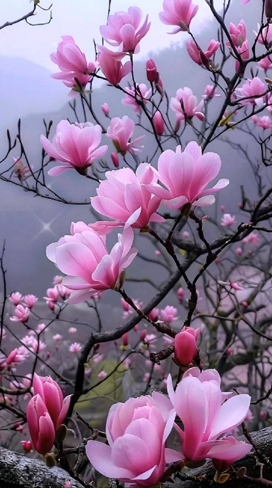咏春～诗||李耀文（图12）