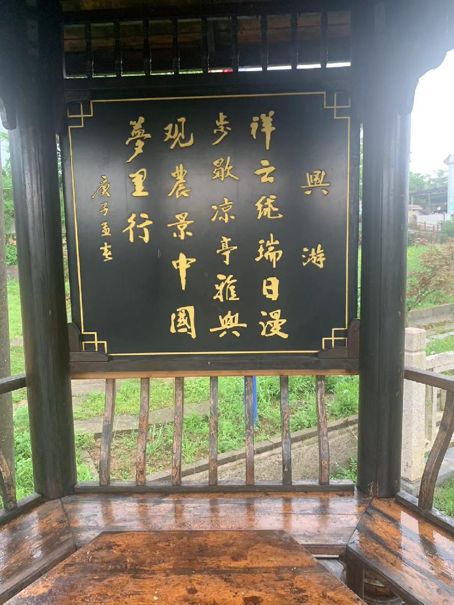 踏莎行-写在舞之林生态农庄党日活动～词||谢荣全（图17）