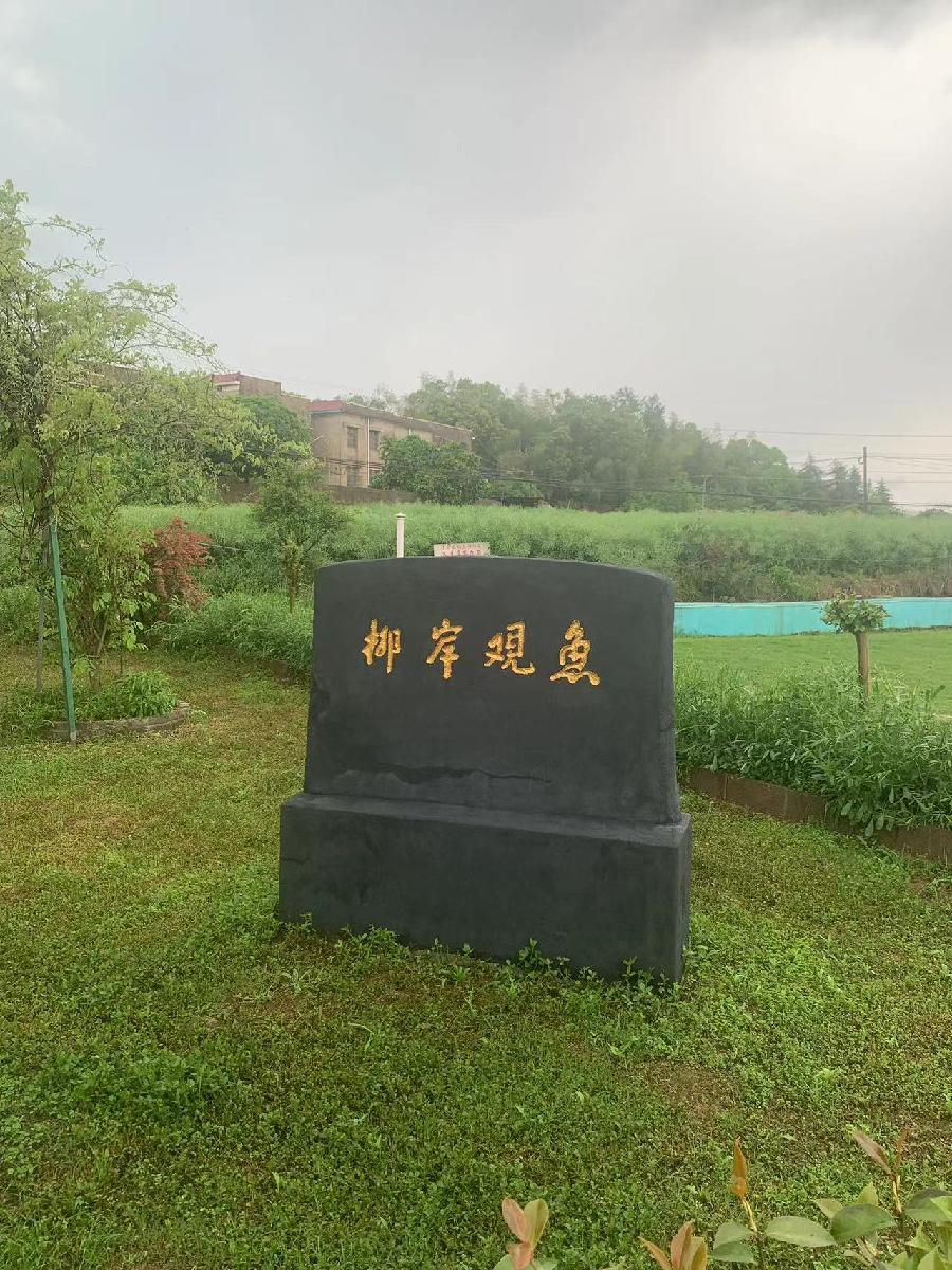 踏莎行-写在舞之林生态农庄党日活动～词||谢荣全（图15）