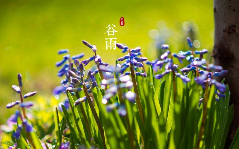 《许峰诗歌研究院》《甲辰谷雨节气》专刊（图4）