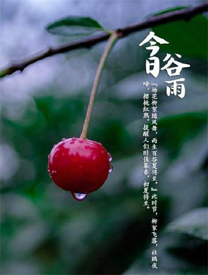 《许峰诗歌研究院》《甲辰谷雨节气》专刊（图5）