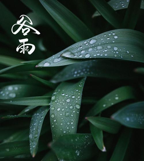 《许峰诗歌研究院》《甲辰谷雨节气》专刊（图14）
