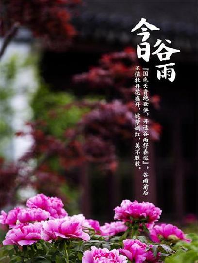 《许峰诗歌研究院》《甲辰谷雨节气》专刊（图15）