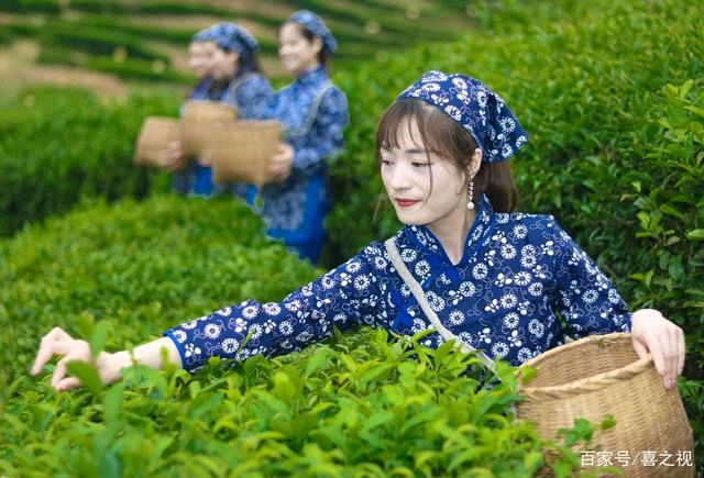 《九江文学社：北京头条》《甲辰谷雨节气》专刊（图8）
