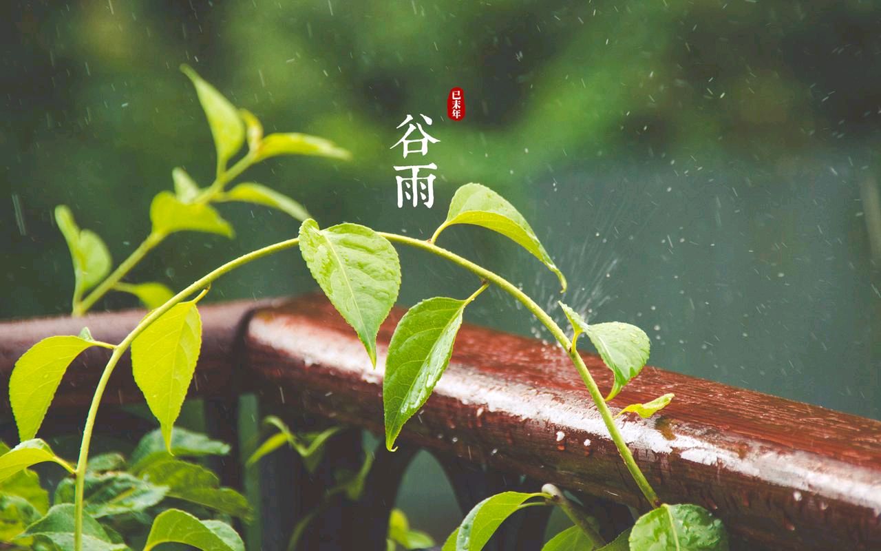 《九江文学社：北京头条》《甲辰谷雨节气》专刊（图11）