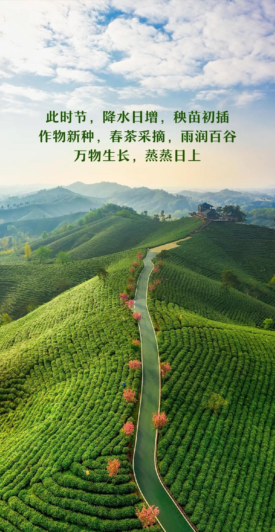 七绝-谷雨踏野（外一首）诗||童歌（图14）