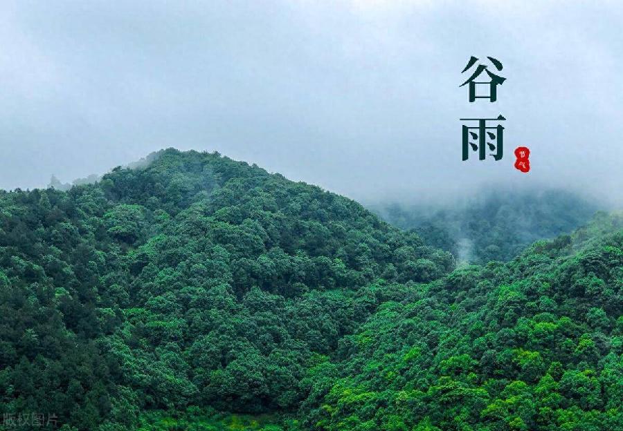 七绝-谷雨踏野（外一首）诗||童歌（图12）