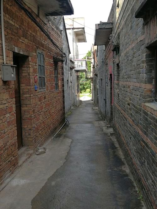 《老屋，我的思念》写在清明后‖作者:汪求明【主播:清泉】桃源国际诗歌文化传媒/用声音传递温暖以诵读致敬人生♬（图7）