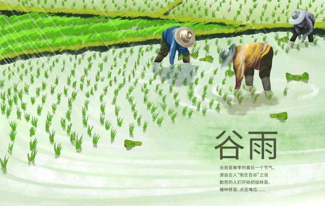 【荣耀中国】谷雨降雨文/武可强(山东临沂)（图3）