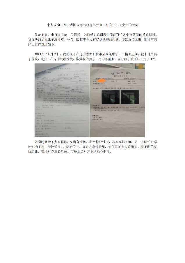个人求助：儿子遭围攻辱骂殴打不处理，来自辽宁王女士的经历