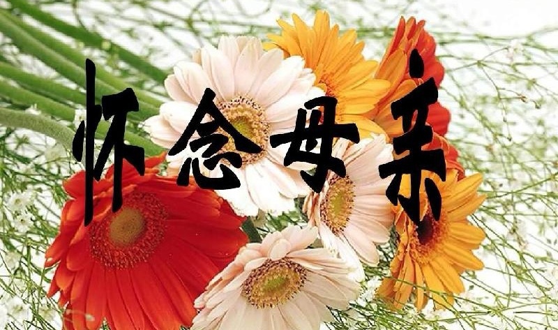 梦里依稀慈母泪～文||张连和（图9）
