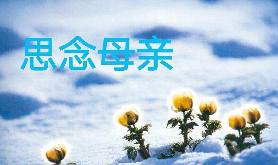 梦里依稀慈母泪～文||张连和（图10）