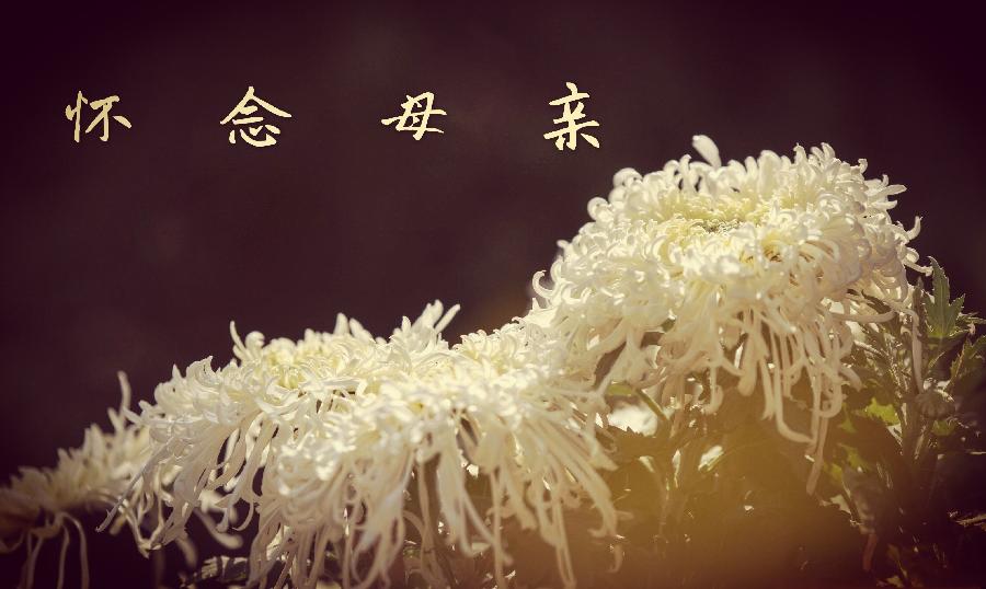 梦里依稀慈母泪～文||张连和（图11）