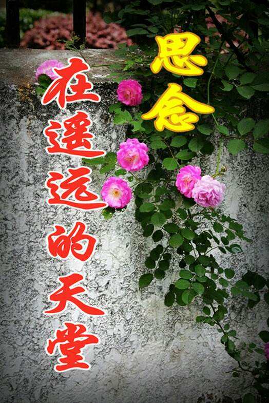 梦里依稀慈母泪～文||张连和（图12）