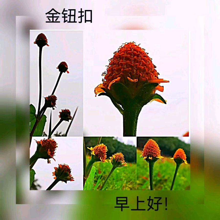 联机全球发布马洪武作品欣赏（图102）